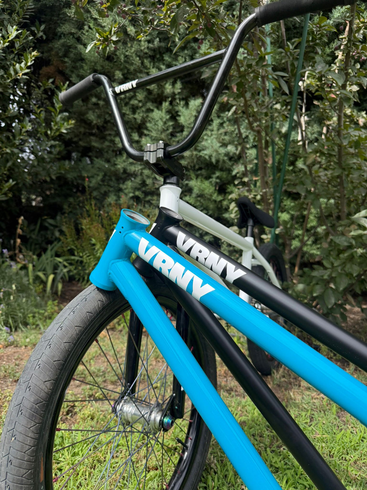 Cuadro V1